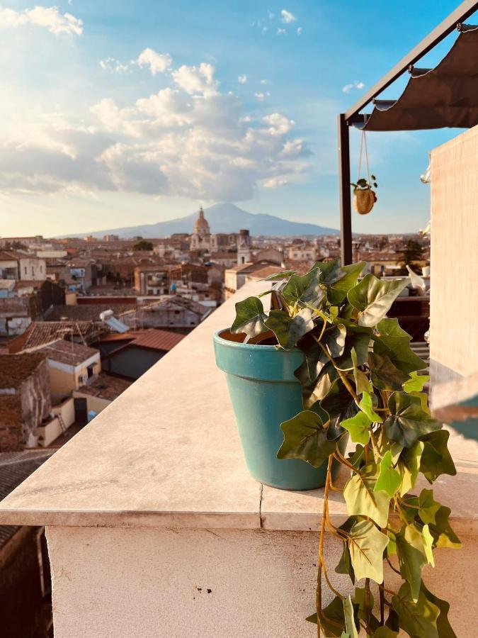 Finestra Sulla Sicilia Bed & Breakfast *